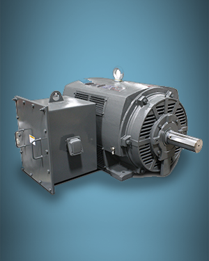 Medium Voltage ODP Motors