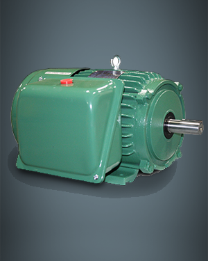 Single Phase TEFC Motors